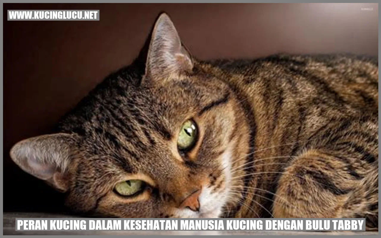 Kucing dengan Bulu Tabby
