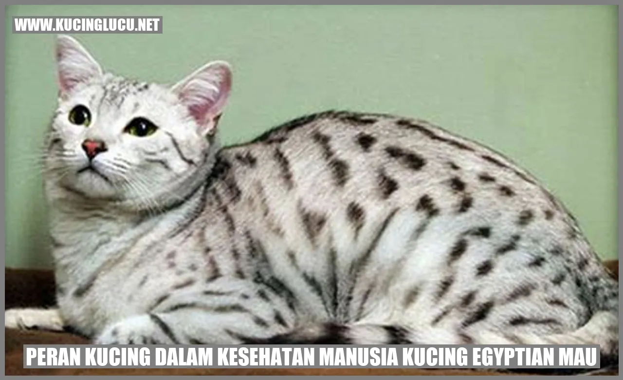Peran Kucing dalam Kesehatan Manusia Kucing Egyptian Mau