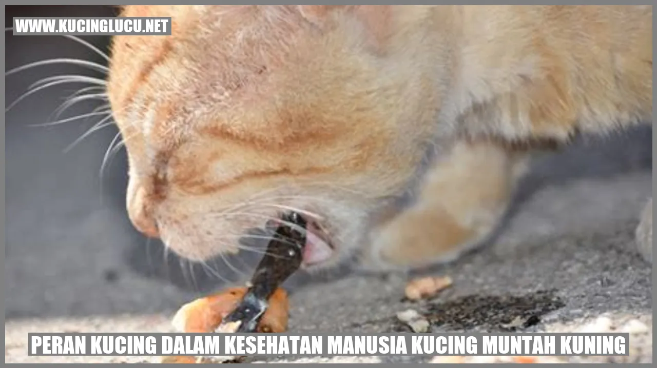 Peran Kucing dalam Kesehatan Manusia kucing muntah kuning