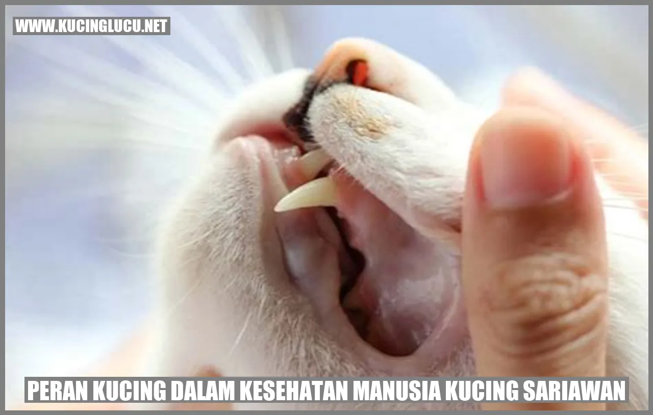 Kucing sariawan