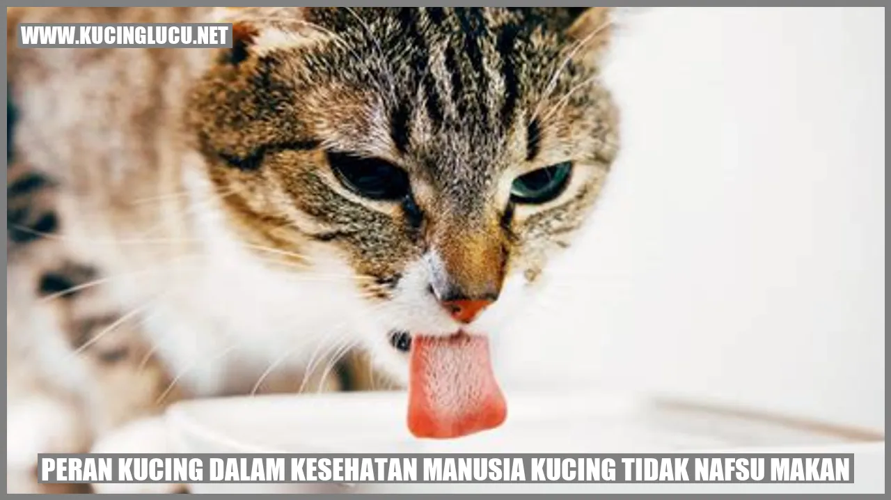 Peran Kucing dalam Kesehatan Manusia