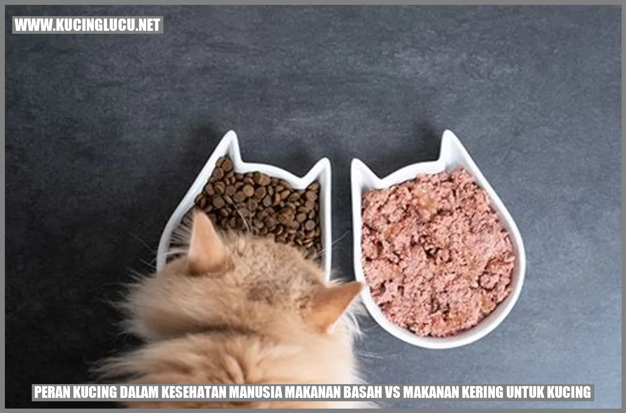 Peran Kucing dalam Kesehatan Manusia