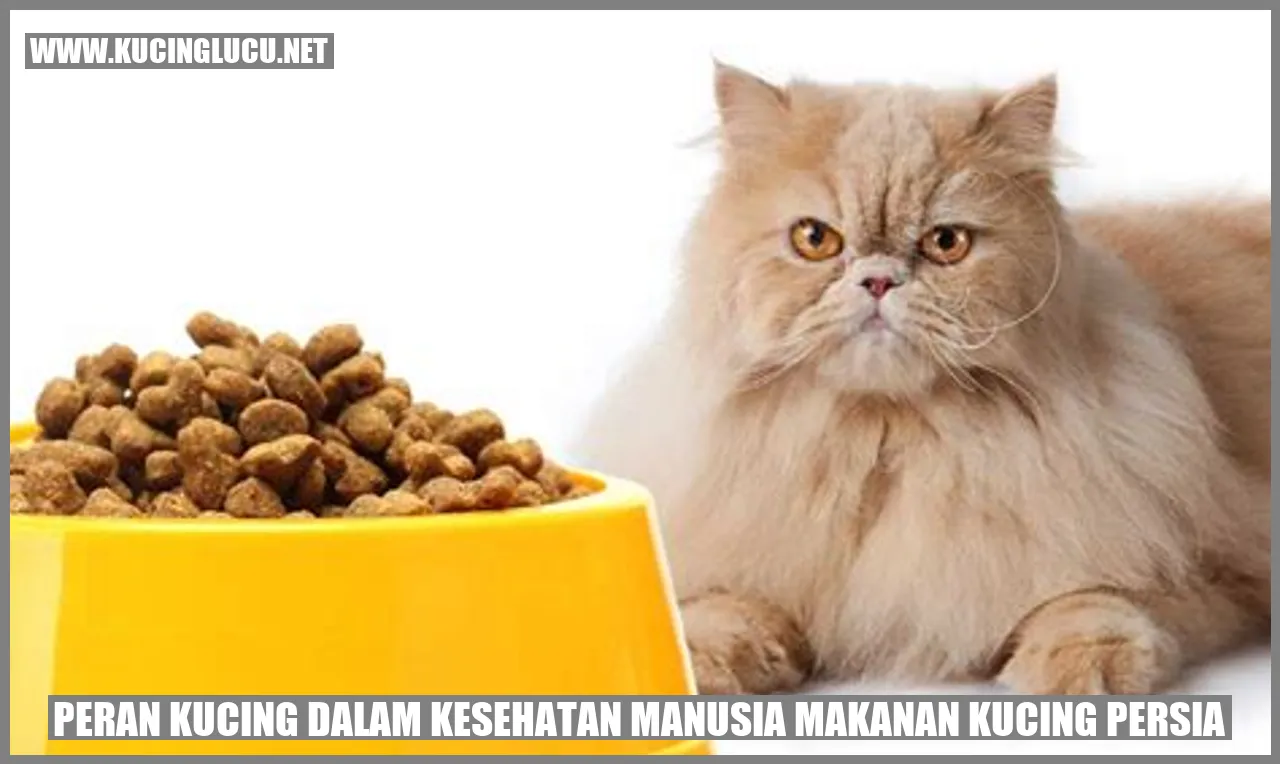 Gambar Kucing Persia