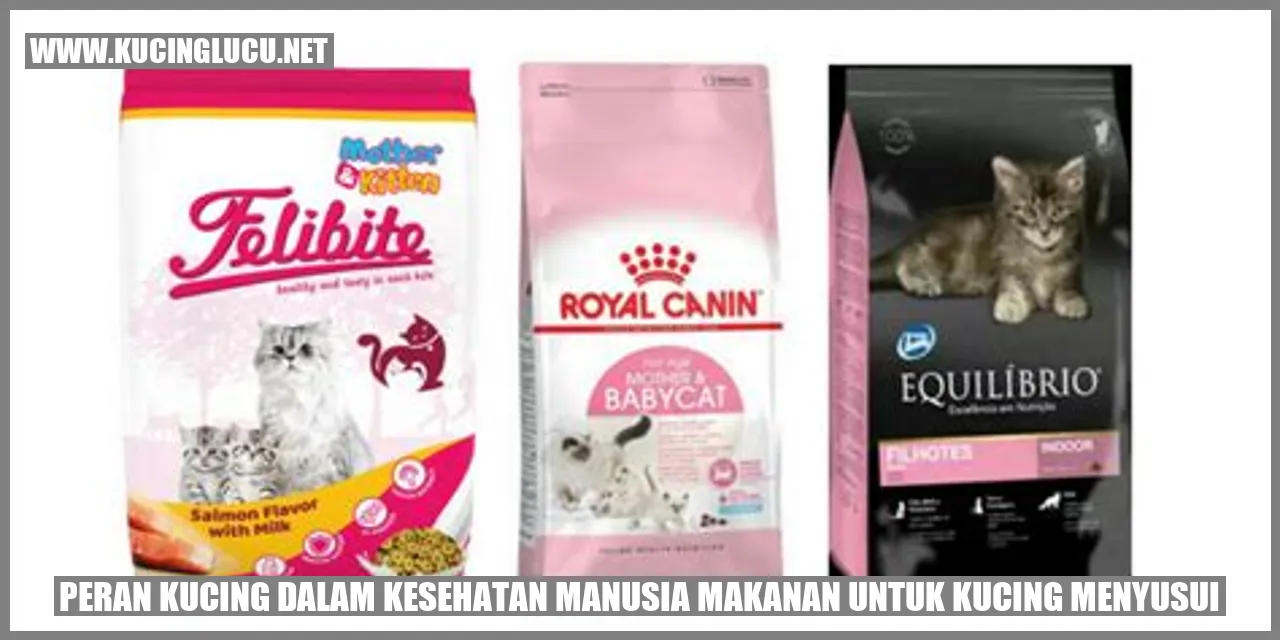 Peran Kucing dalam Kesehatan Manusia