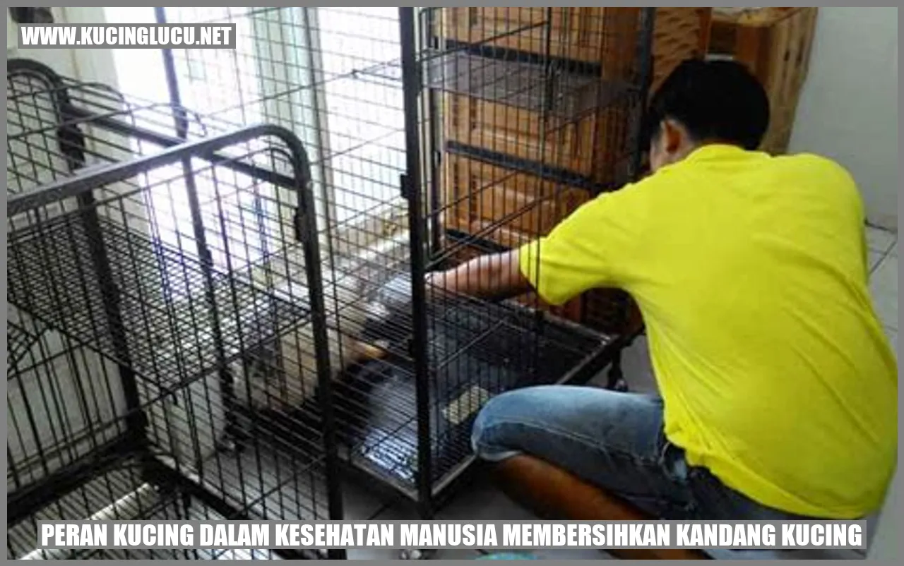 Peran Kucing dalam Kesehatan Manusia membersihkan kandang kucing