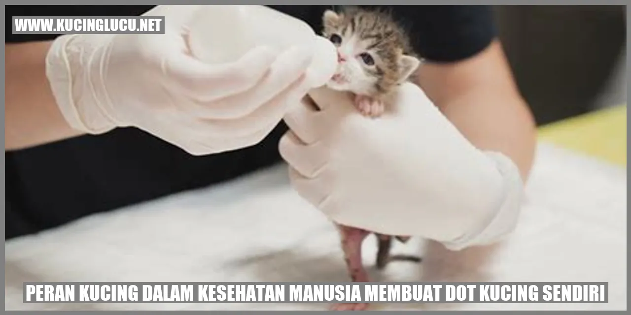 Peran Kucing dalam Kesehatan Manusia membuat dot kucing sendiri