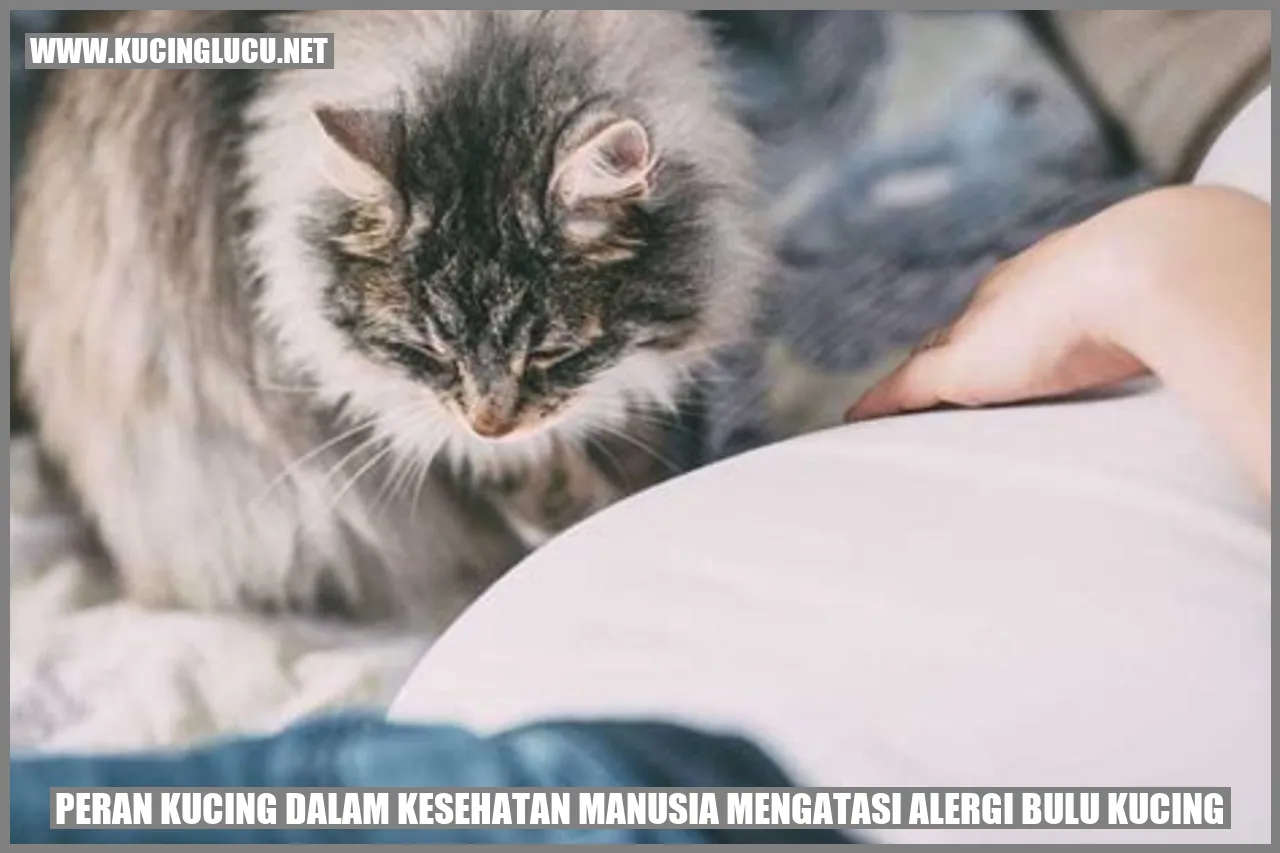Peran kucing dalam kesehatan manusia