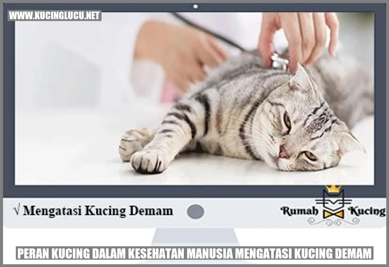Peran Kucing dalam Kesehatan Manusia