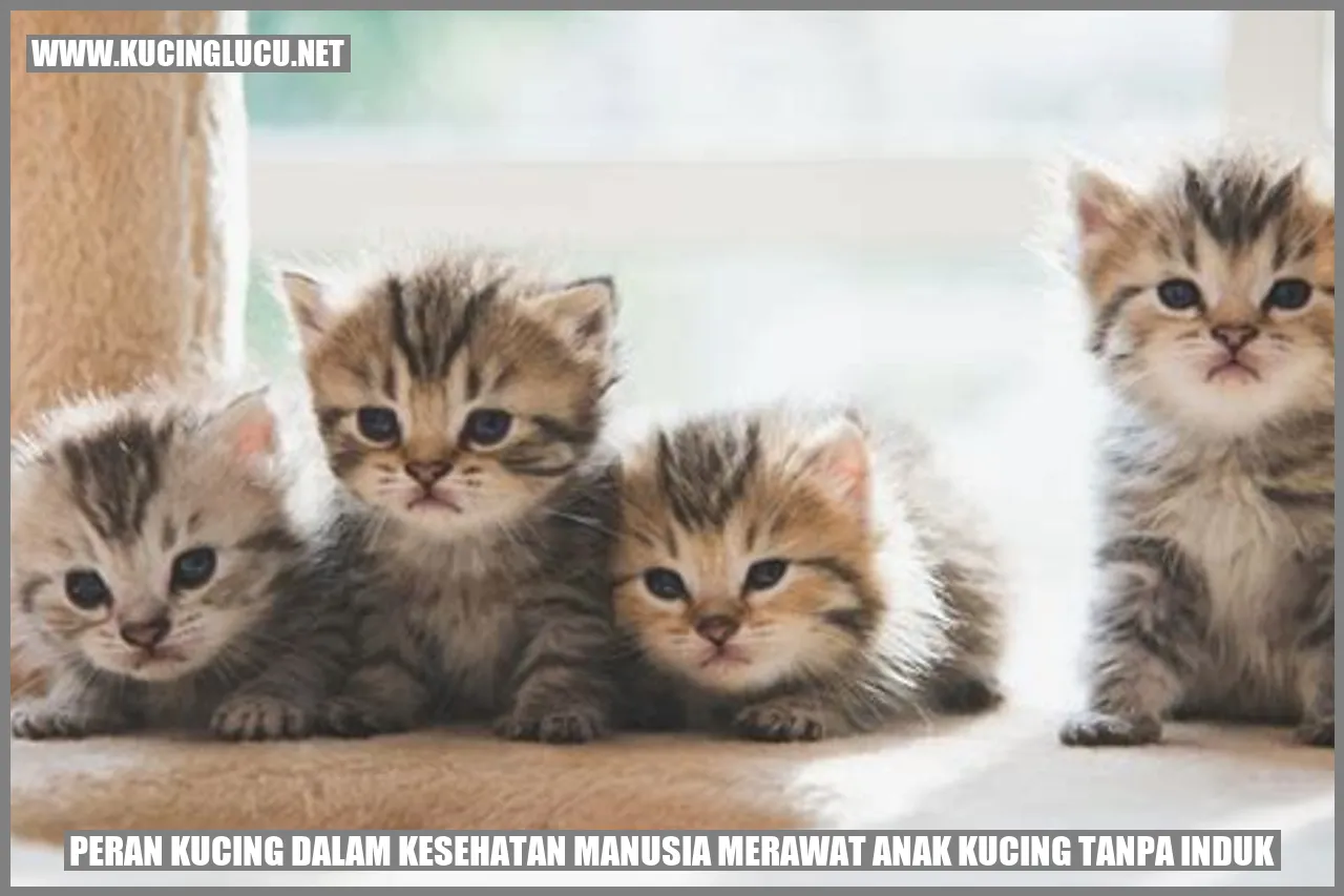 Peran Kucing dalam Kesehatan Manusia
