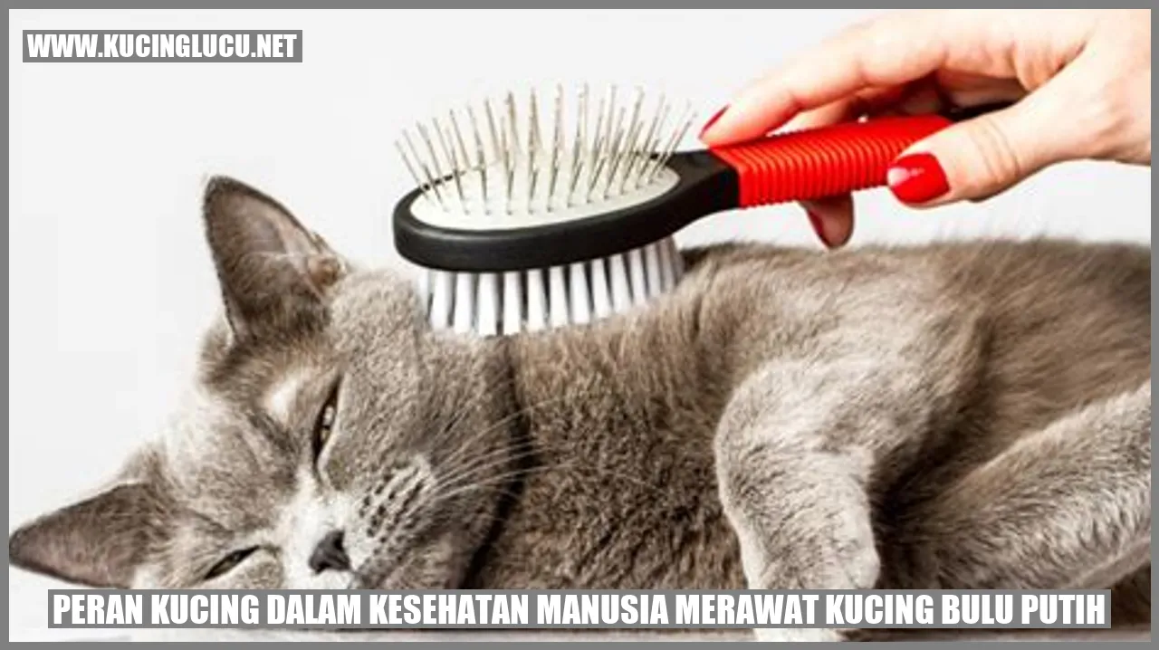 Kucing dengan bulu putih yang cantik
