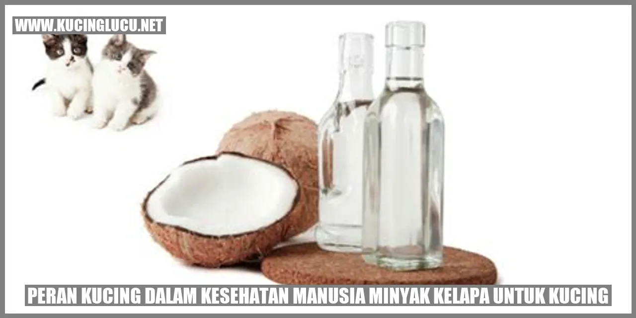Peran Kucing dalam Kesehatan Manusia: Manfaat Minyak Kelapa untuk Kucing