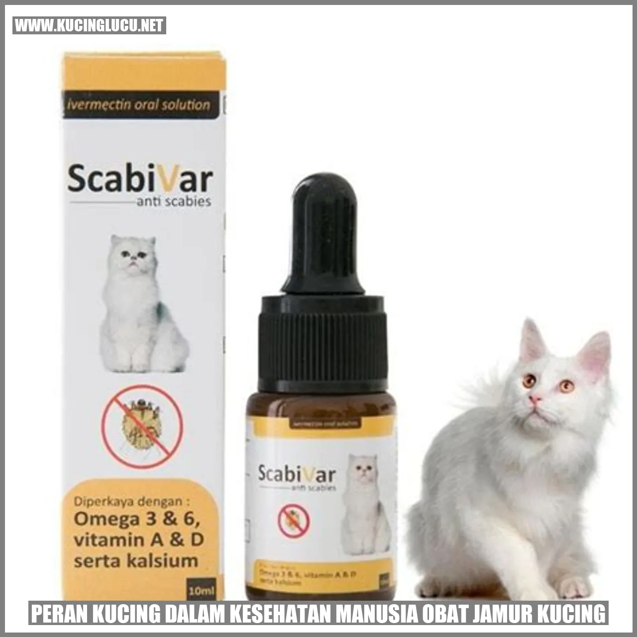 Peran Kucing dalam Kesehatan Manusia obat jamur kucing