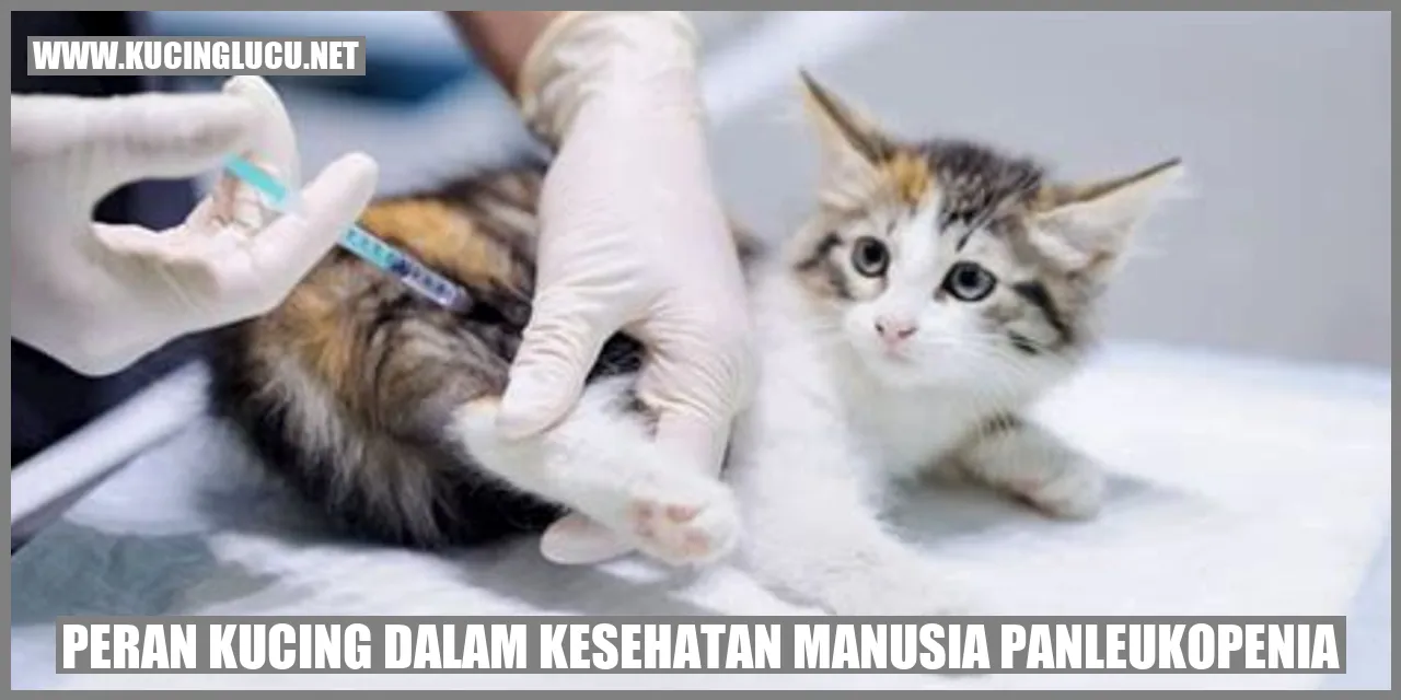 Peran Kucing dalam Kesehatan Manusia panleukopenia