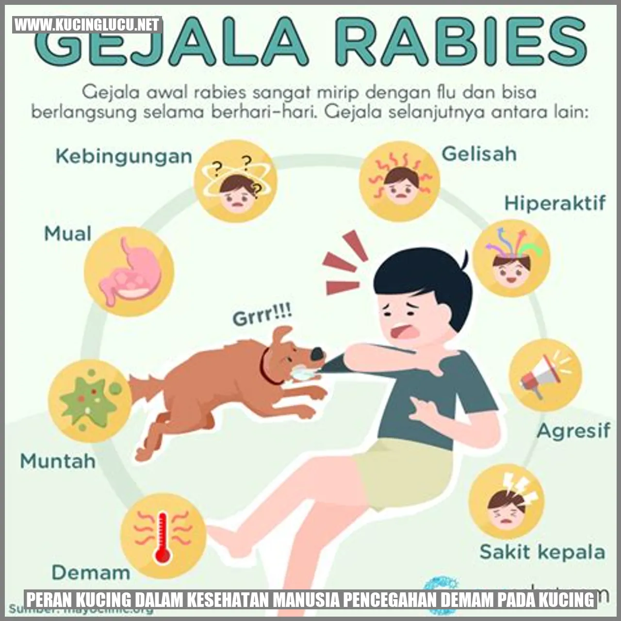 Peran Kucing dalam Kesehatan Manusia pencegahan demam pada kucing