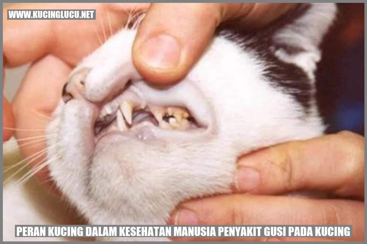 Peran Kucing dalam Kesehatan Manusia penyakit gusi pada kucing