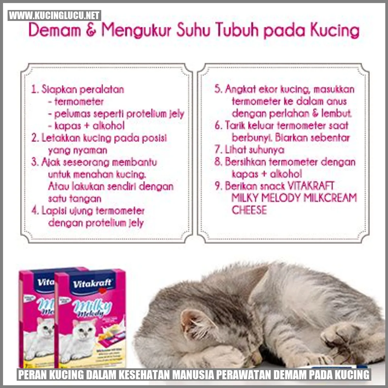 Kucing Menggoda