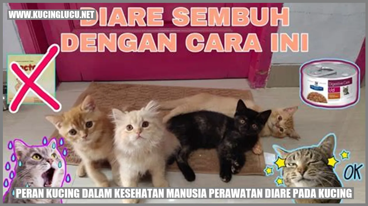 Peran Kucing dalam Kesehatan Manusia perawatan diare pada kucing