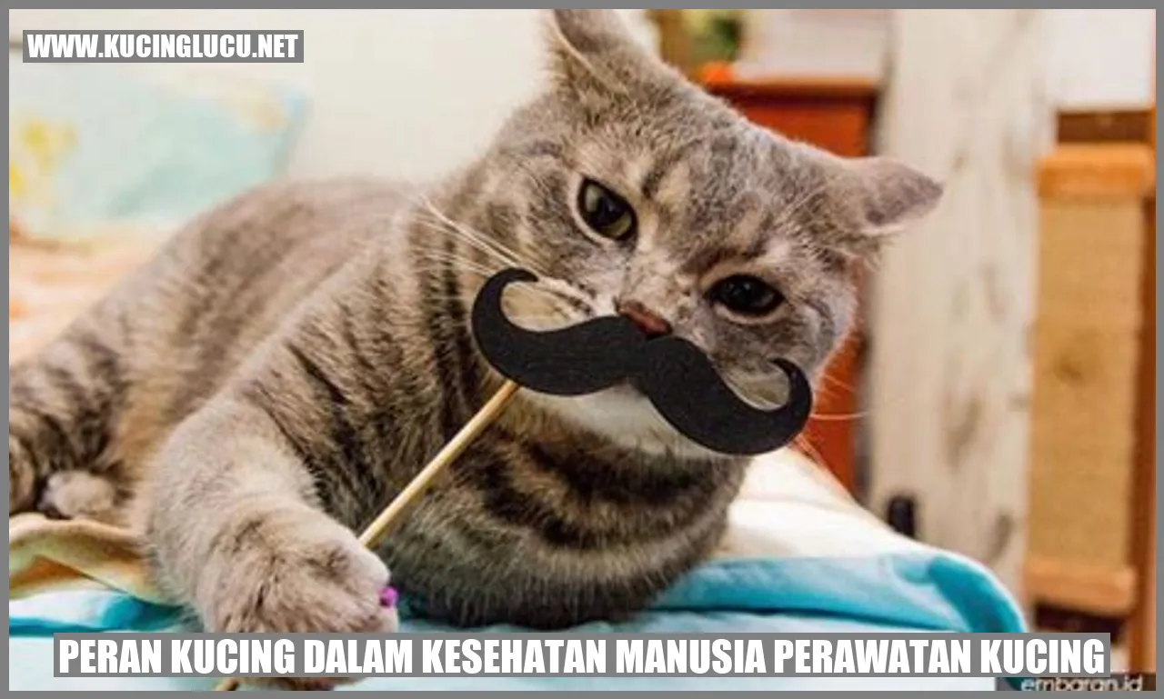 Kucing Menggeram