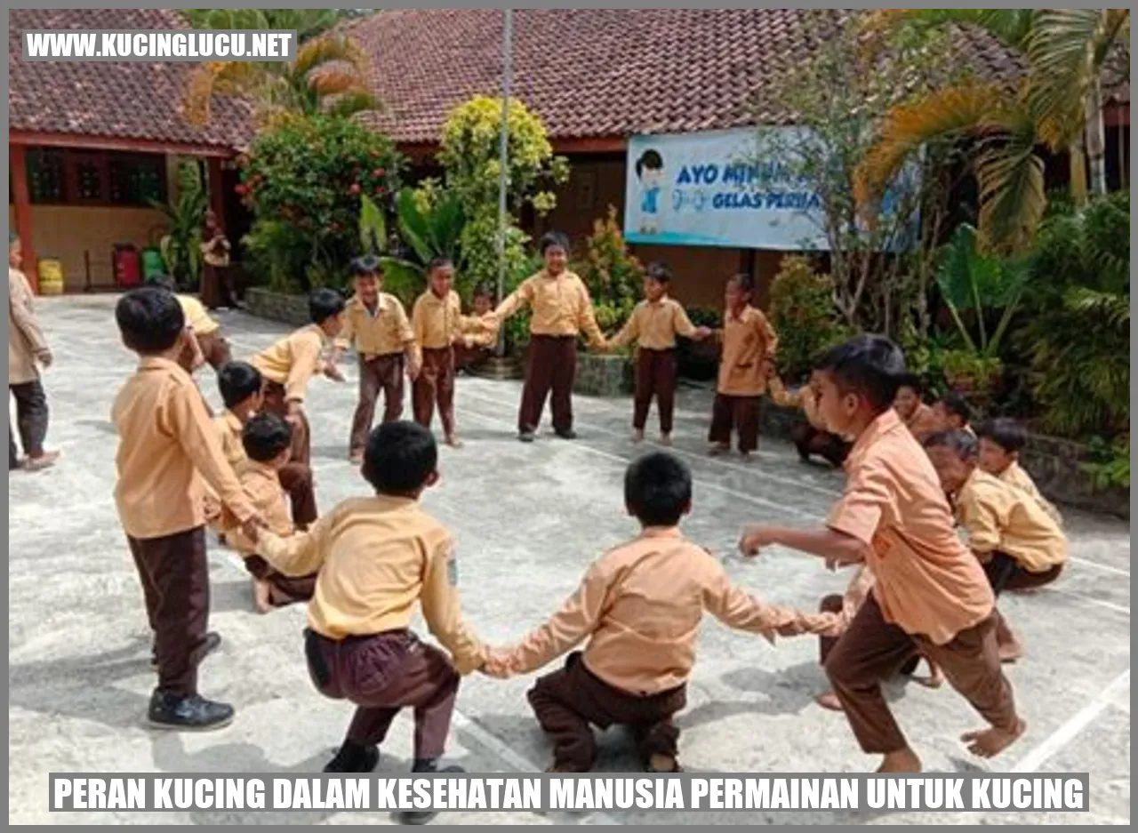 Kucing bermain