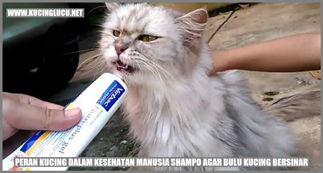 Peran Kucing dalam Kesehatan Manusia