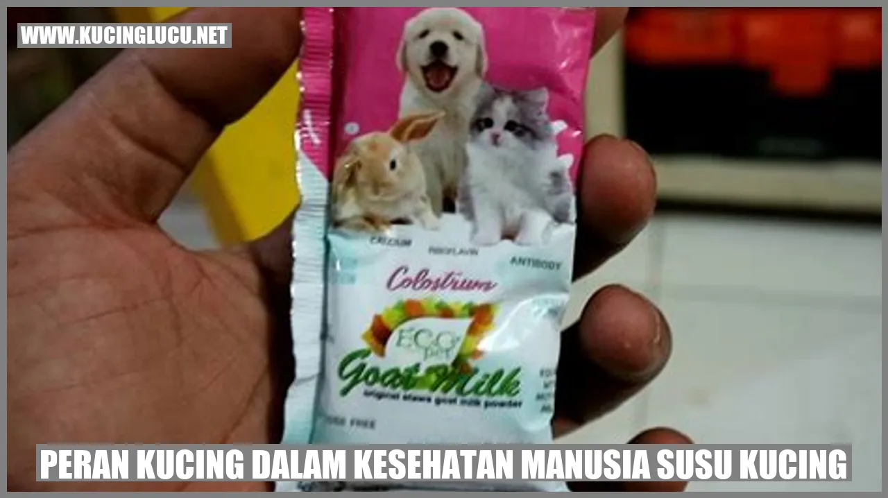 gambar kucing