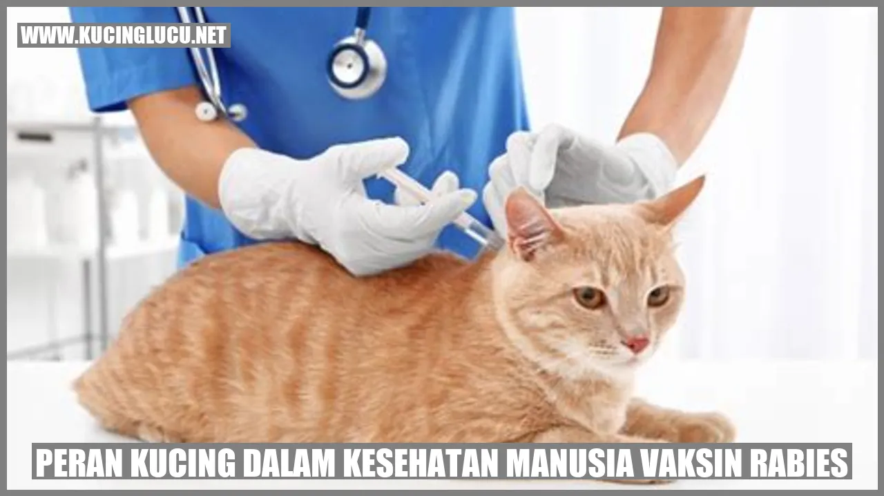 Peran Kucing dalam Kesehatan Manusia