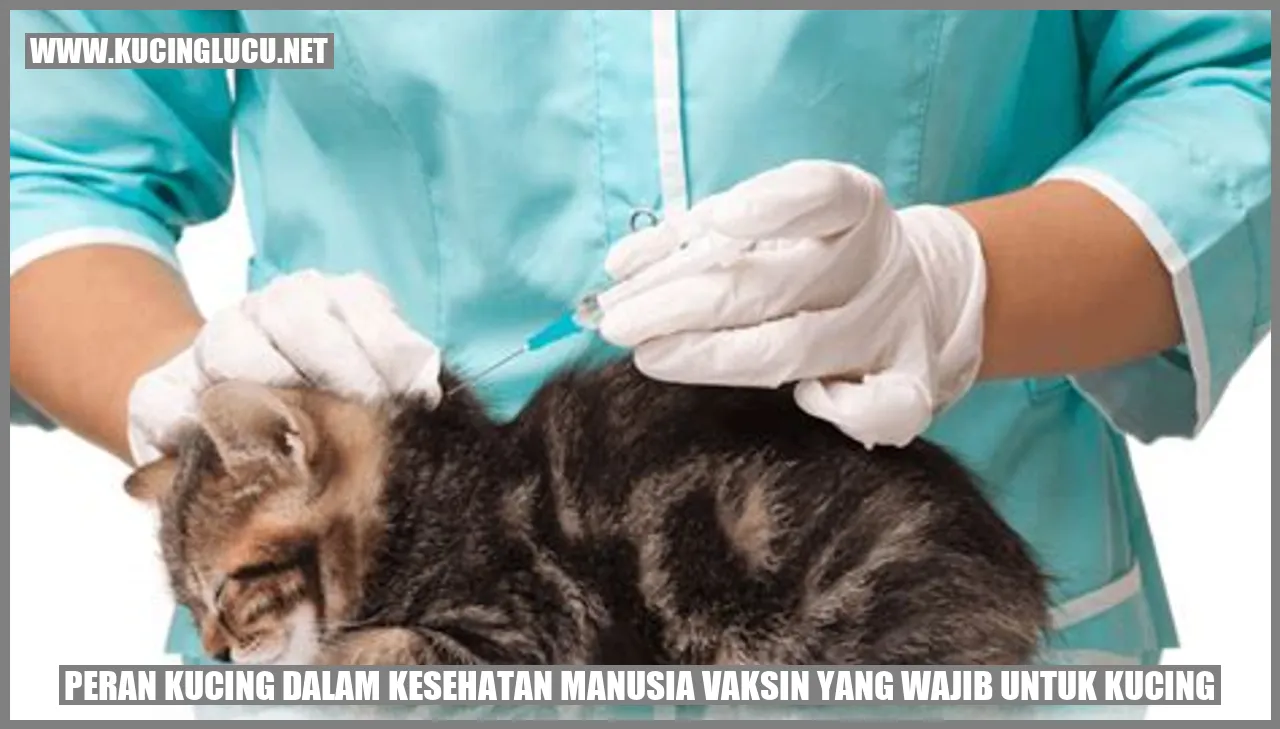 Gambar kucing yang penting dalam menjaga kesehatan manusia