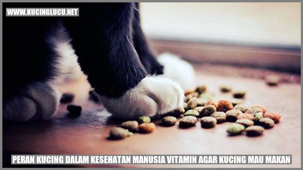 Kucing dan Kesehatan Manusia