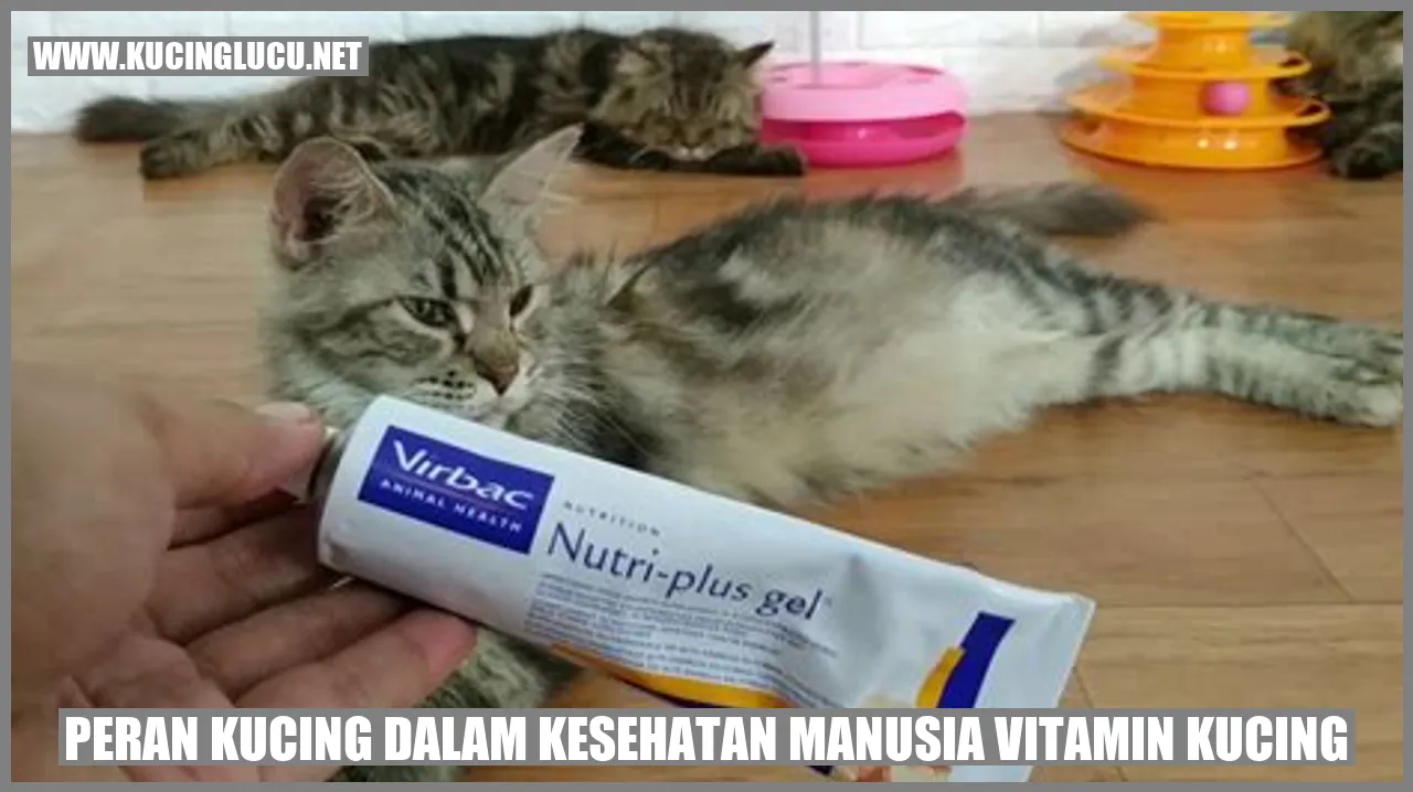 Gambar: Kucing dan Kesehatan Manusia