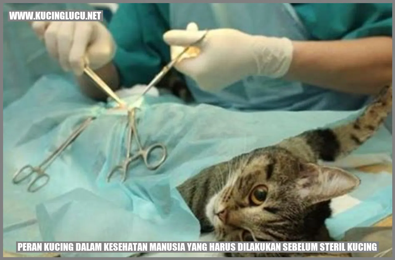 Peran Kucing dalam Kesehatan Manusia