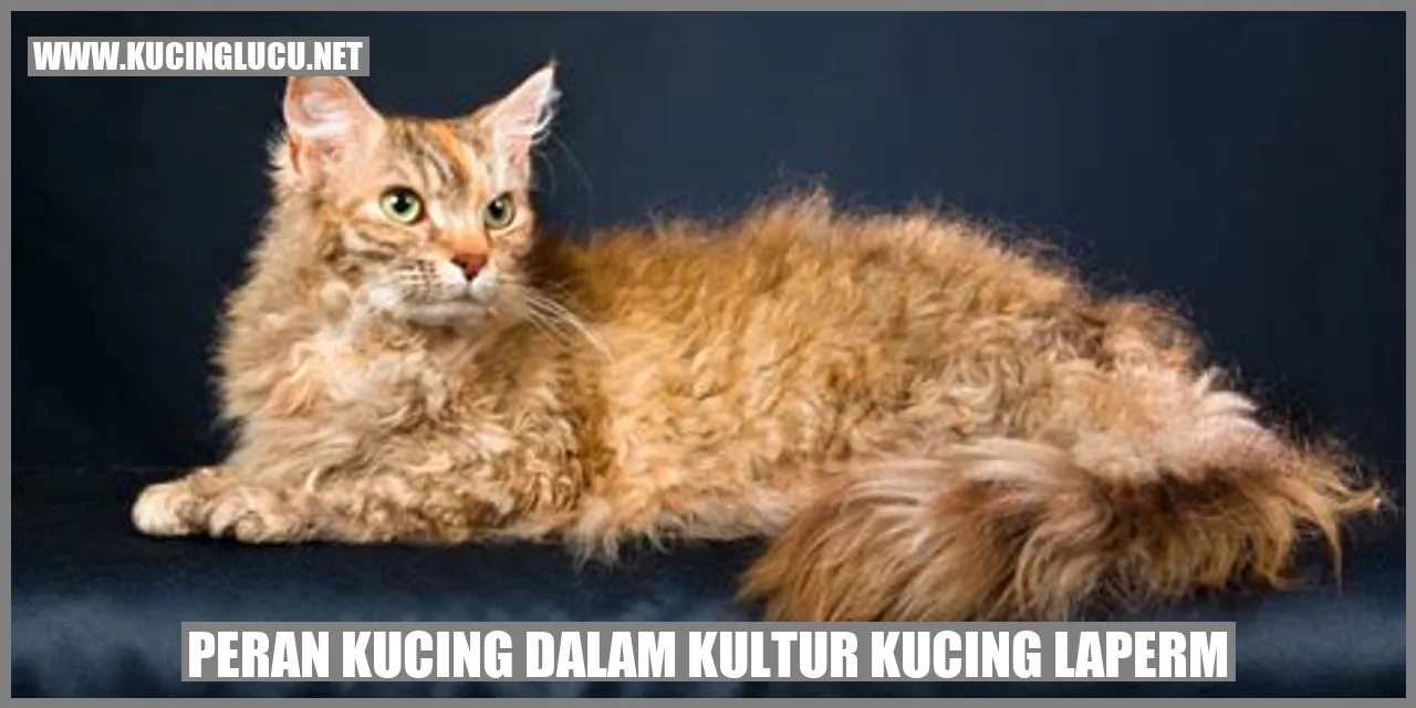 Peran Kucing dalam Kultur Kucing LaPerm