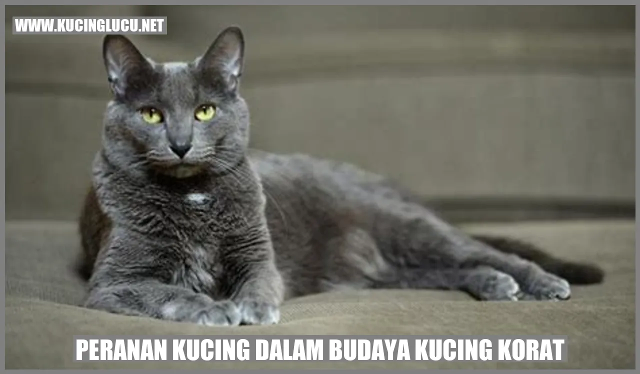 Peranan Kucing dalam Budaya Kucing Korat