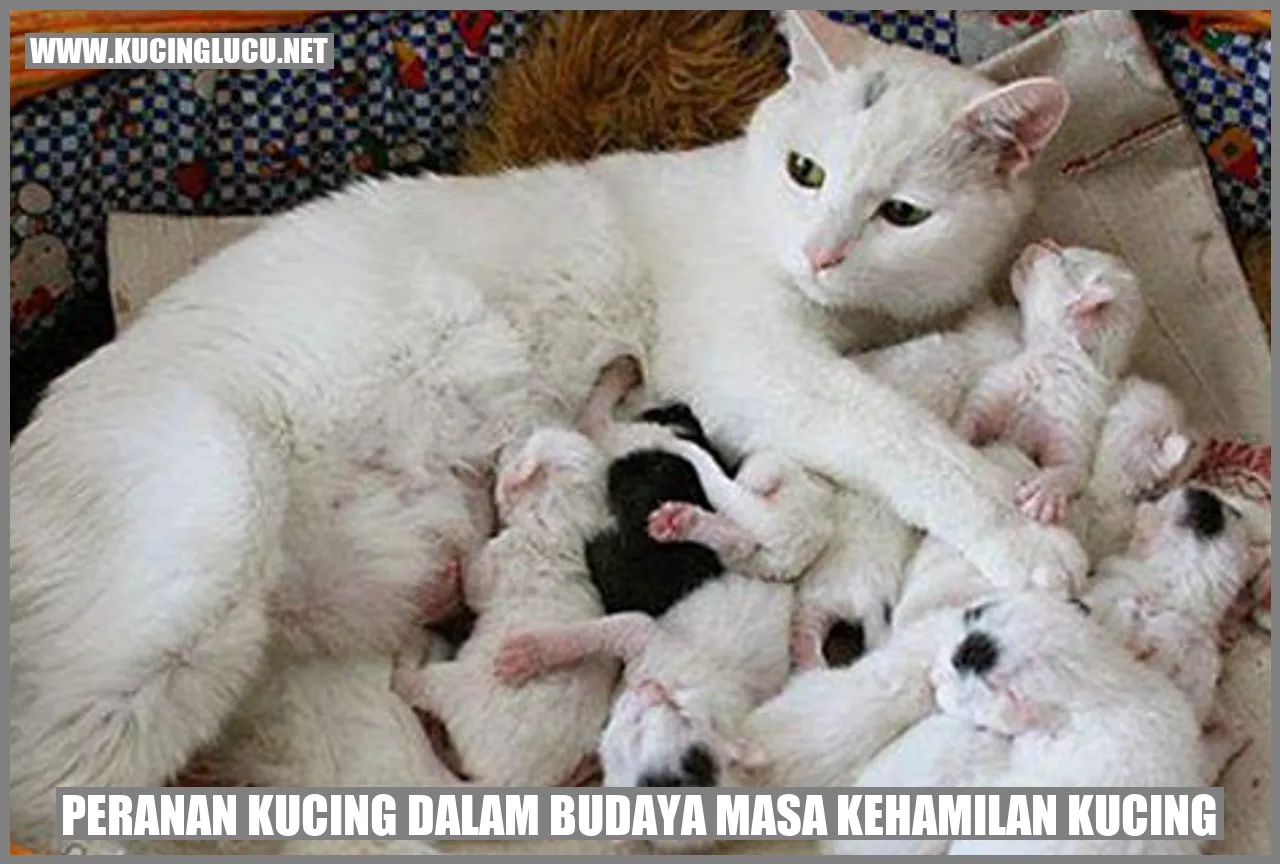 Peranan Kucing dalam Budaya masa kehamilan kucing