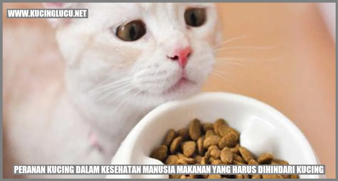 Peranan Kucing dalam Kesehatan Manusia