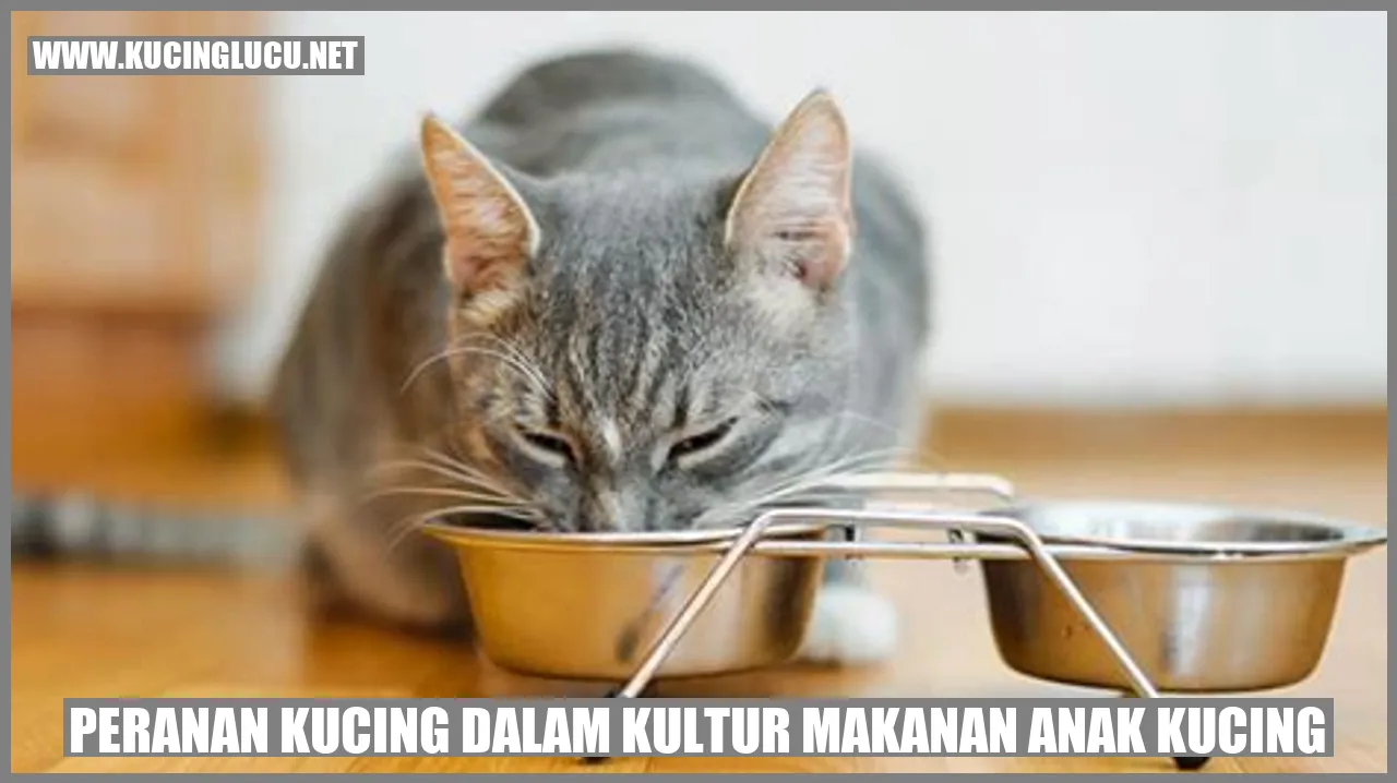 Gambar Lucu Kucing Anak