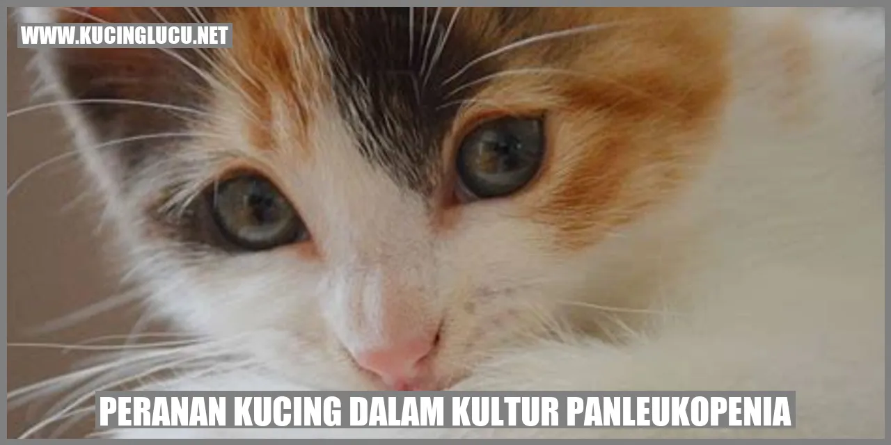 Peranan Kucing dalam Kultur Panleukopenia