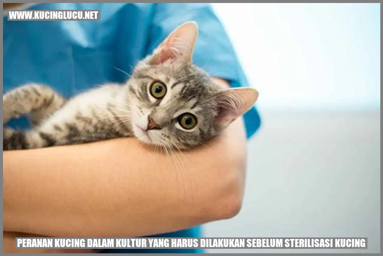 Peranan Kucing dalam Kultur