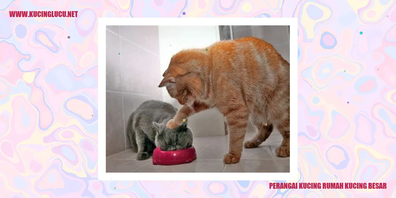 Perangai Kucing Rumah Kucing Besar