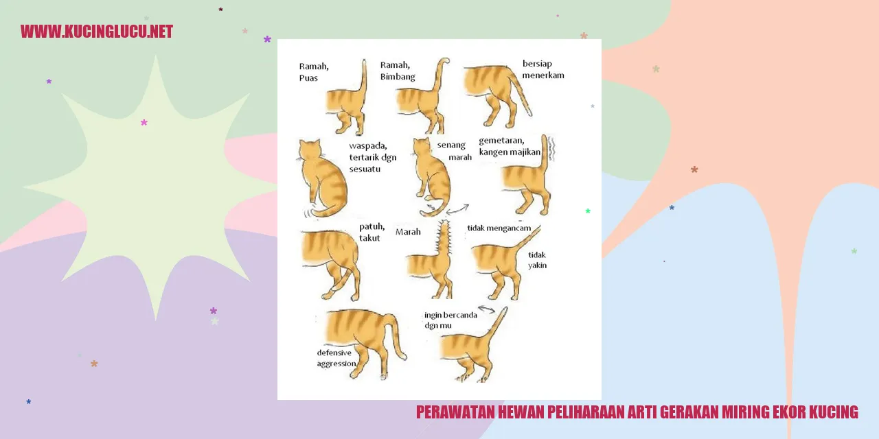 Perawatan Hewan Peliharaan