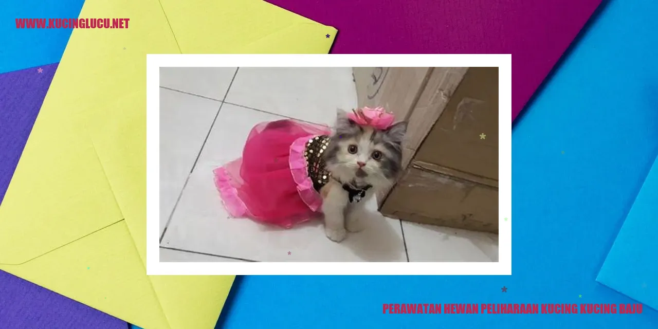 Gambar Kucing Bermotif Baju
