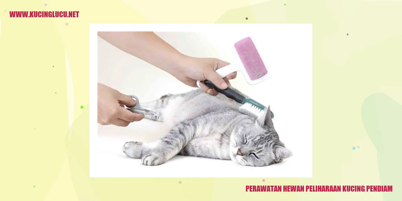 Perawatan Kesehatan Kucing