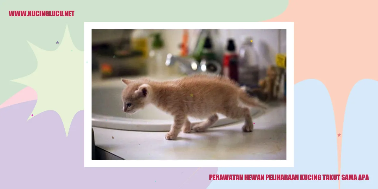 Perawatan Hewan Peliharaan