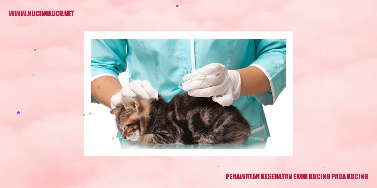 Perawatan Kesehatan Ekor Kucing