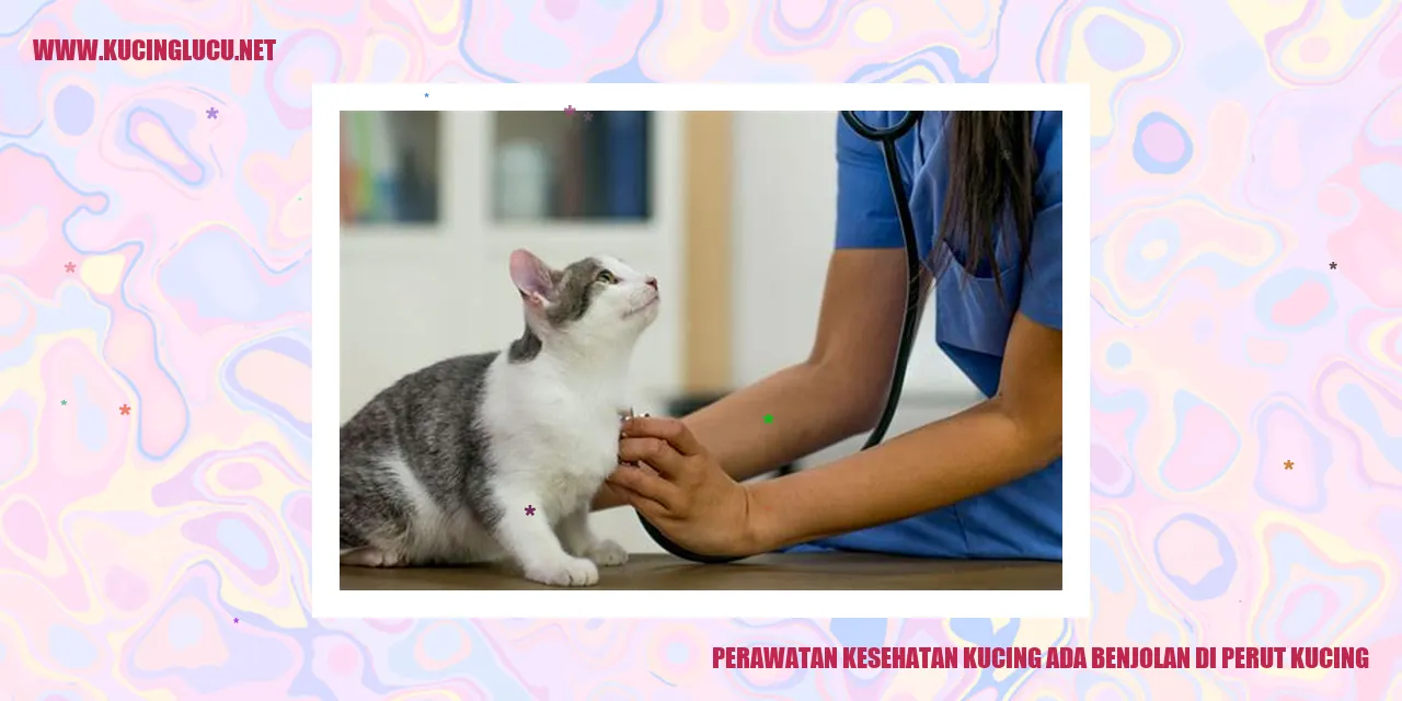 Kucing dengan benjolan di perut