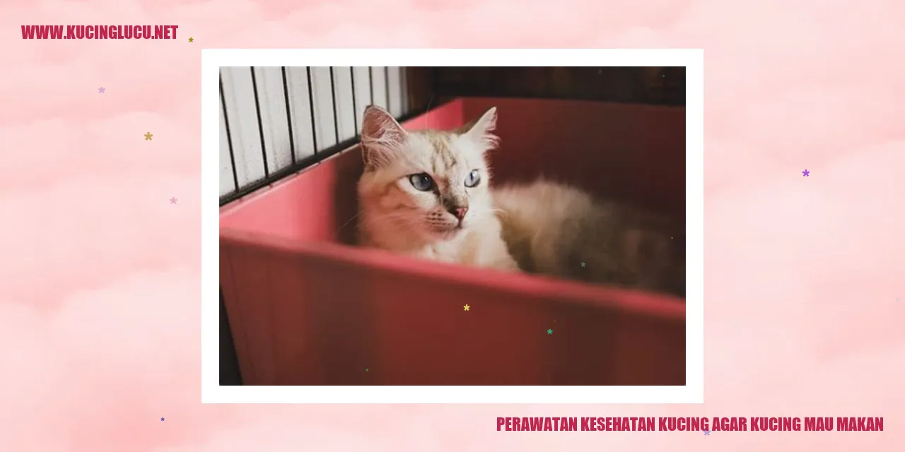 Gambar Kucing