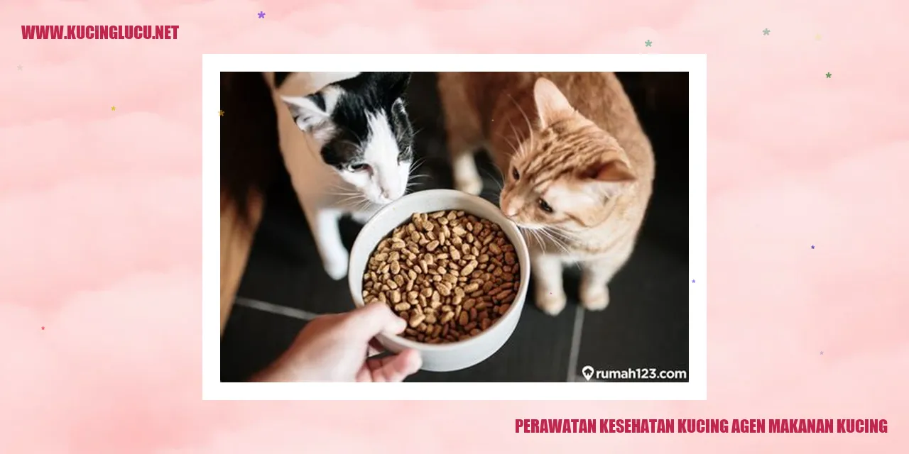Perawatan Kesehatan Kucing