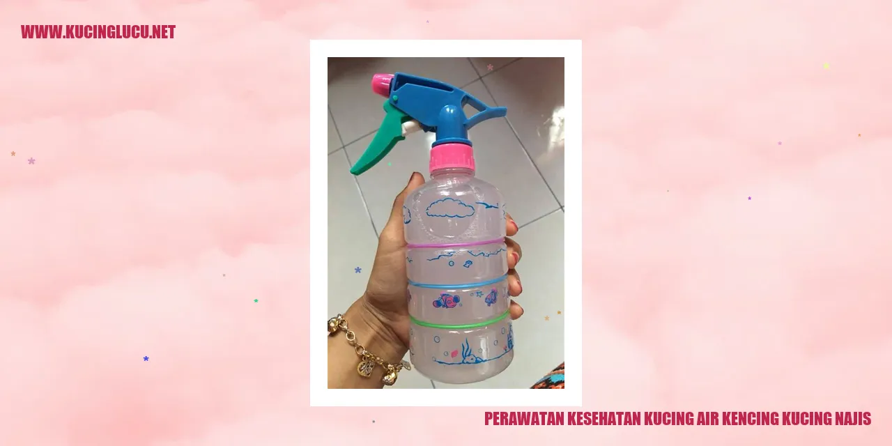 Gambar kucing sehat