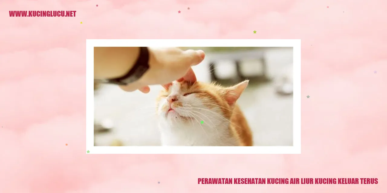 Perawatan Kesehatan Kucing