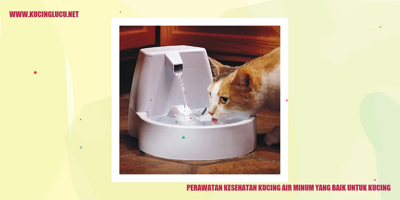 Kucing yang Minum Air