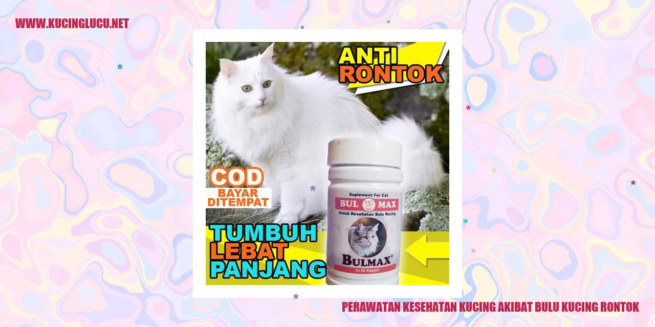 Perawatan Kesehatan Kucing